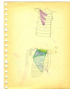 schouder anatomie 2 kopieklein